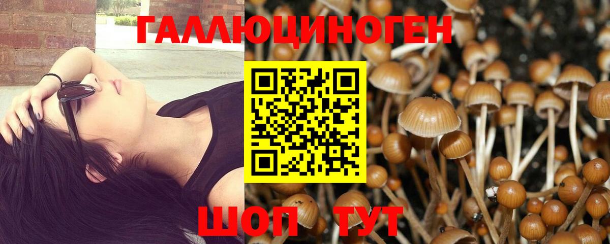 Галлюциногенные грибы MAGIC MUSHROOMS  Вход с VPN  Ногинск 